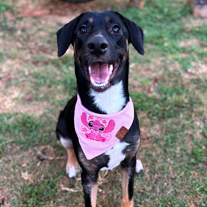Bandana pet Angel