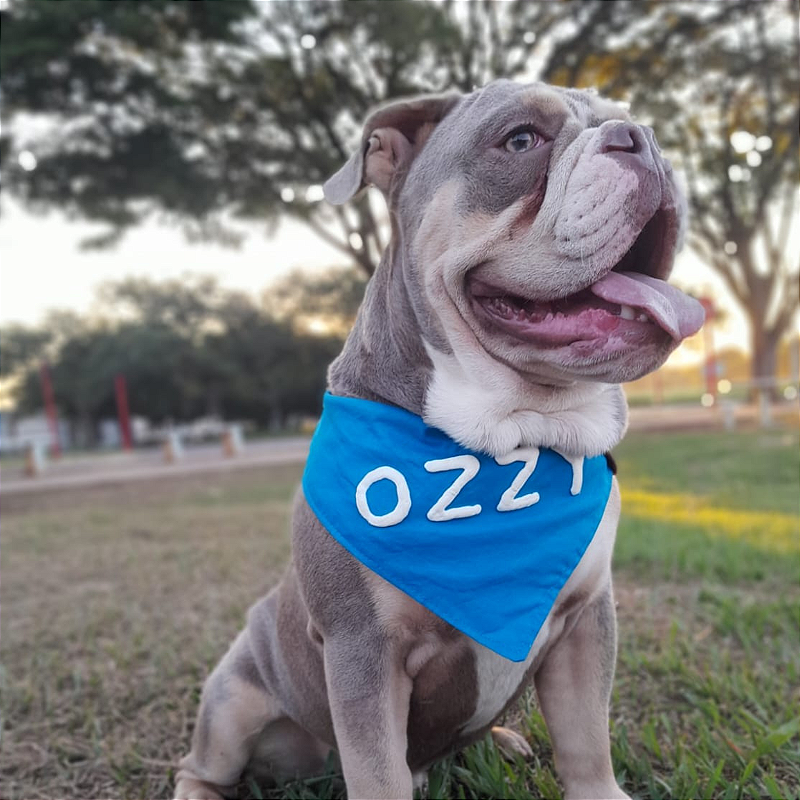 Bandana para pet azul com nome em 3D