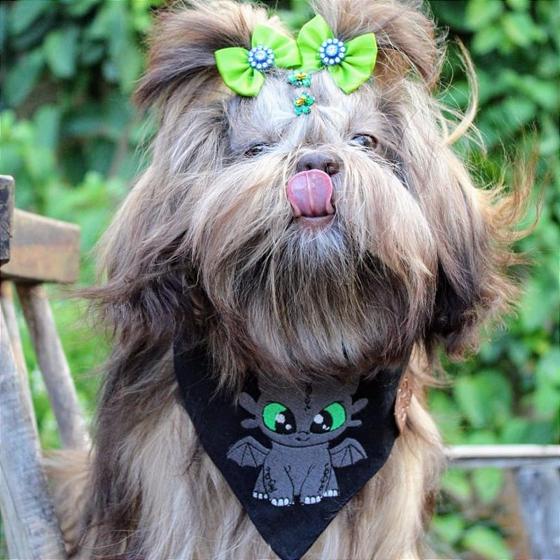 Bandana Bangela bebê - Como treinar seu dragão para pet