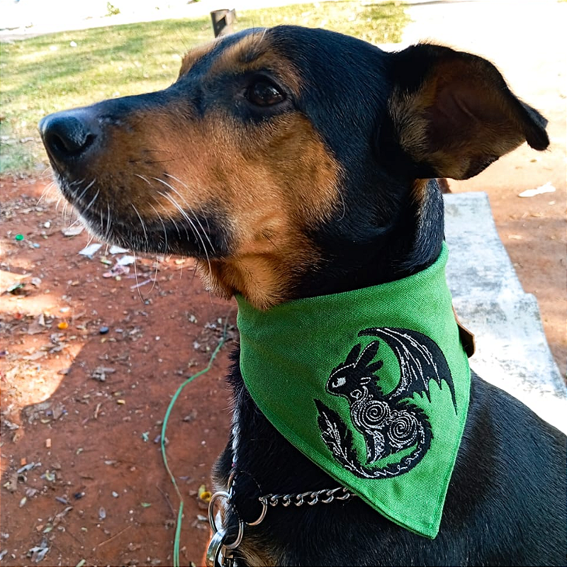 Bandana Bangela - Como treinar seu dragão para pet