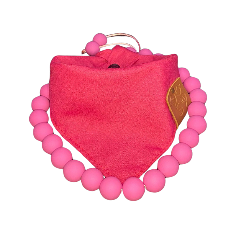Bandana e Colar Pet Rosa