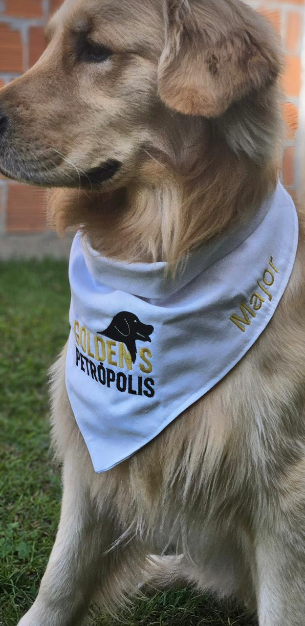 Bandana Golden Petrópolis para pet