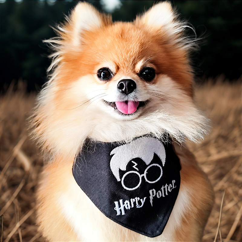 Bandana Harry Potter para pet