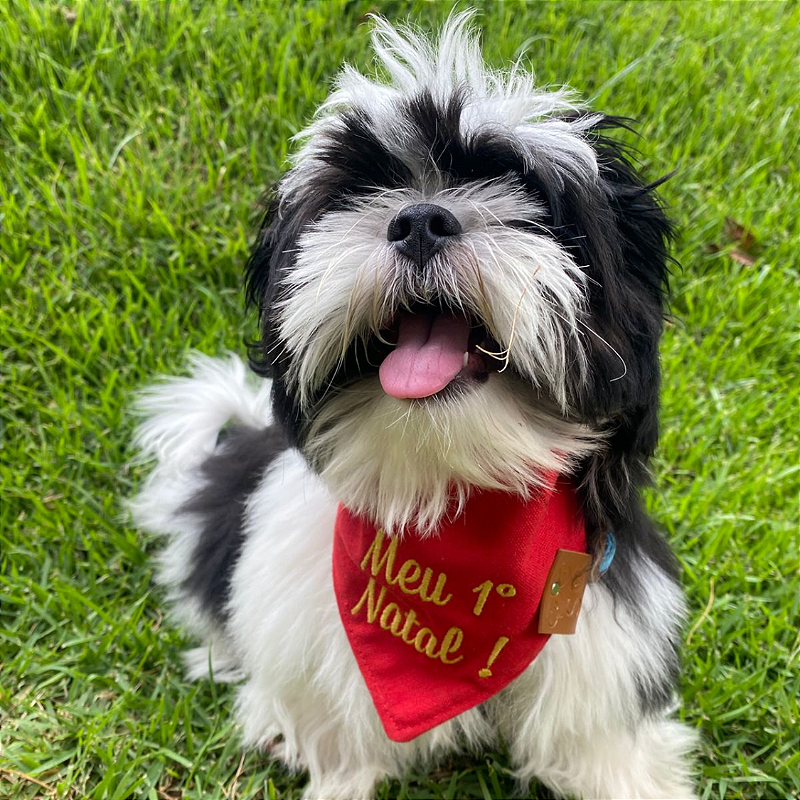 Bandana meu primeiro natal para pet
