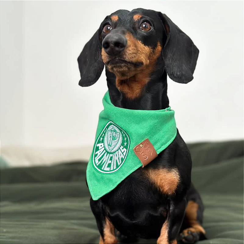 Bandana Palmeiras para pet