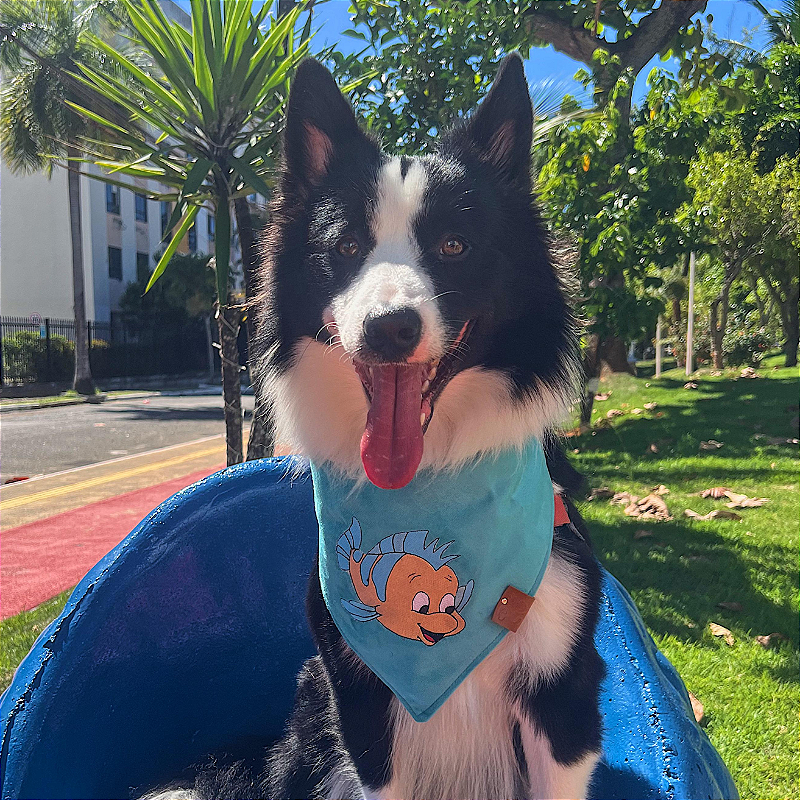 Bandana Pet Bordado Linguado