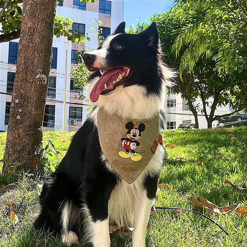 Bandana Pet Bordado Mickey Mouse