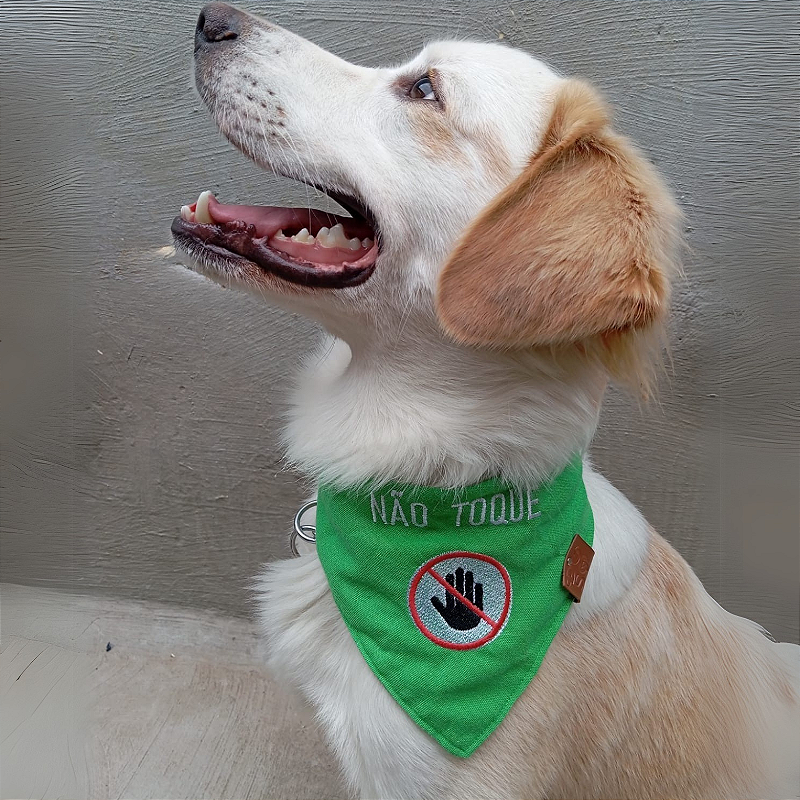 Bandana Pet Bordado não toque