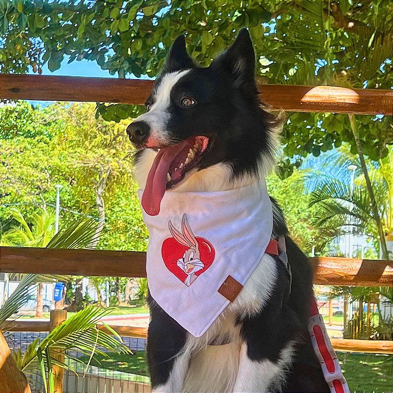 Bandana Pet Bordado Pernalonga