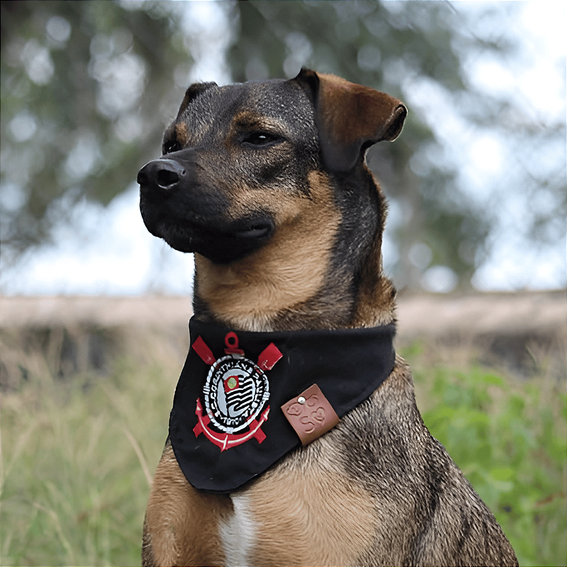 Bandana Pet Corinthians