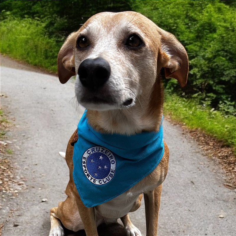 Bandana Pet Cruzeiro
