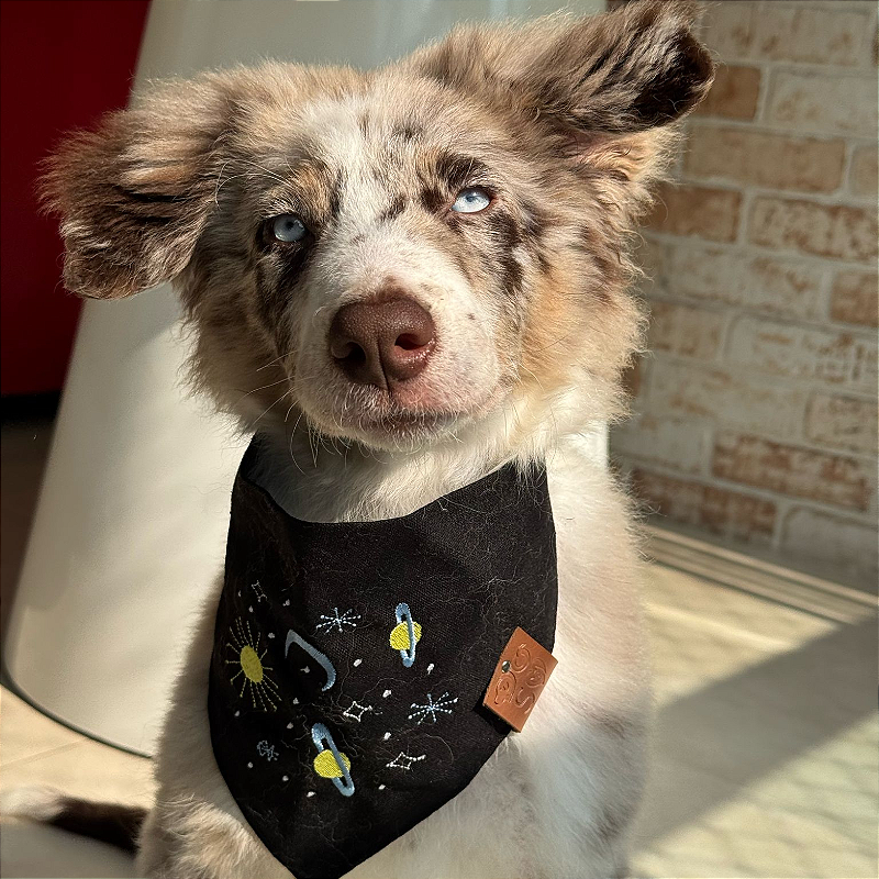 Bandana Pet Galaxia