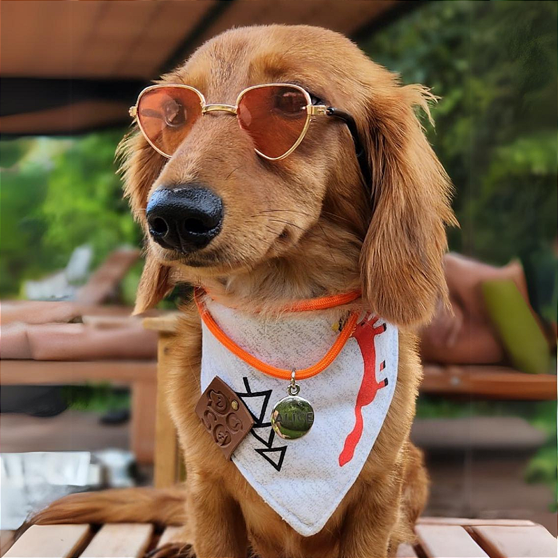 Bandana Pet Raposa