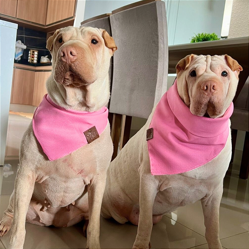 Bandana Pet Rosa bebê
