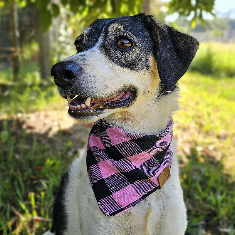 Bandana Pet Xadrez Rosa bebê