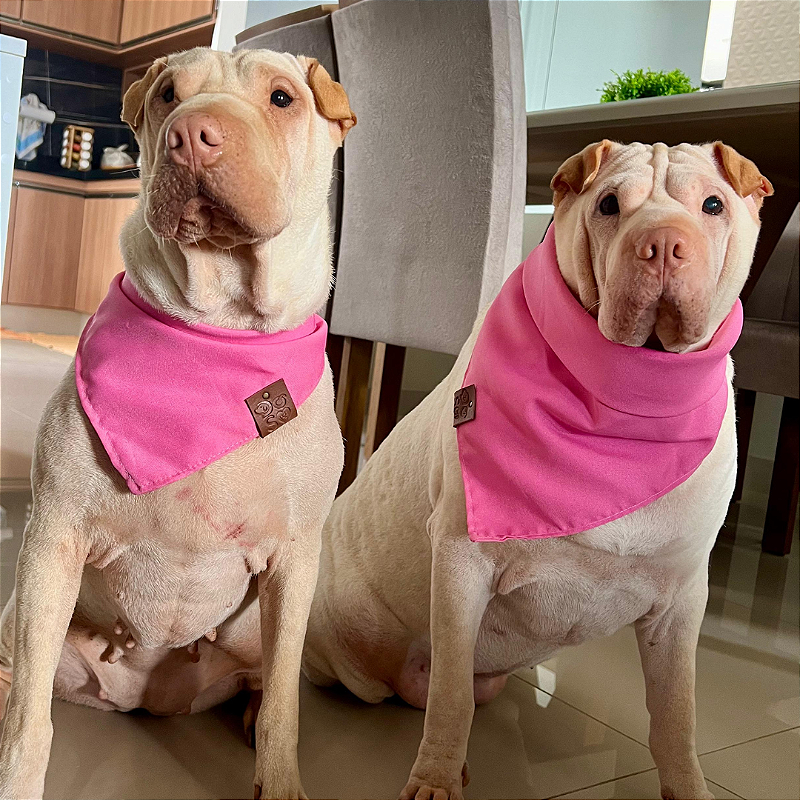 Bandana PinkFlower para pet