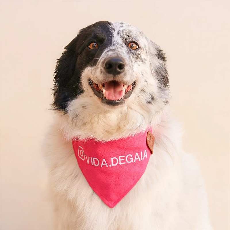 Bandana Rosa com logo Instagram para pet