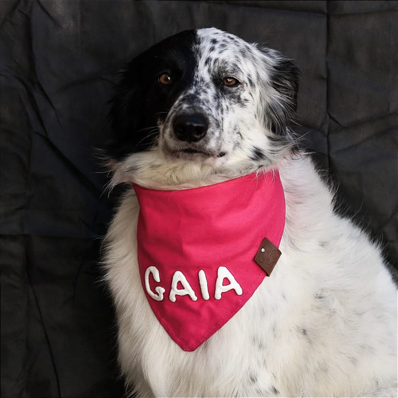 Bandana Rosa com nome 3D para pet