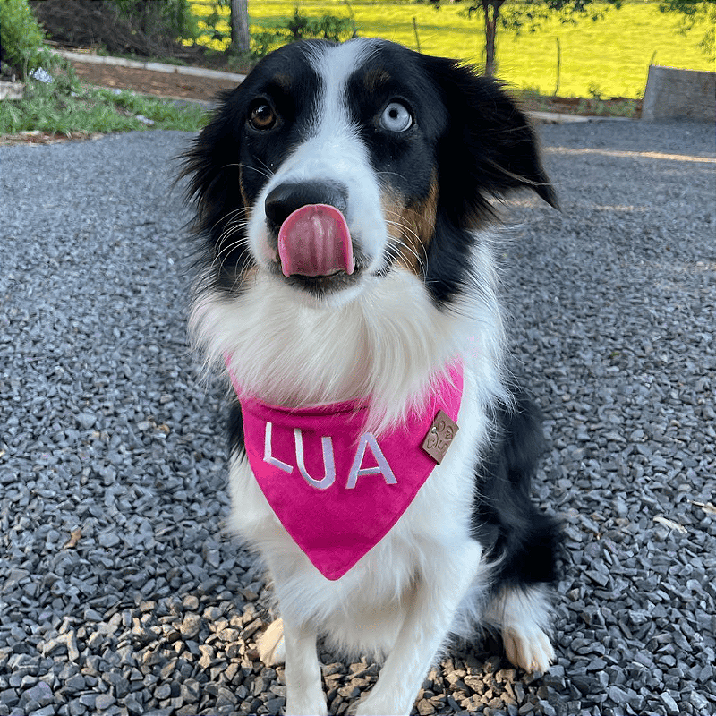 Bandana Rosa com nome bordado para pet