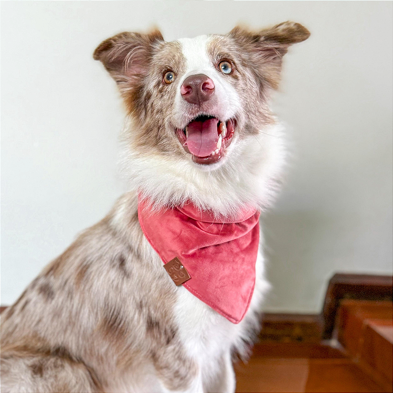 Bandana rosa coral veludo para pet