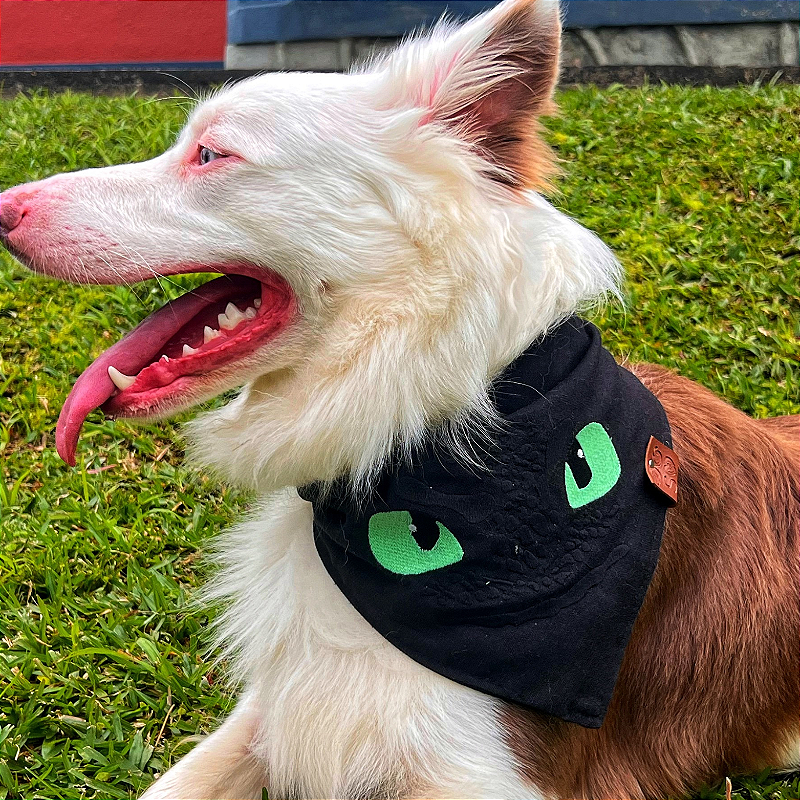 Bandana Rosto Bangela - Como treinar seu dragão para pet