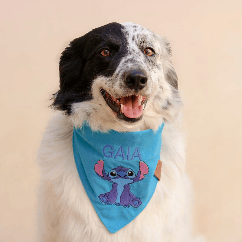 Bandana Stitch com nome opcional para pet