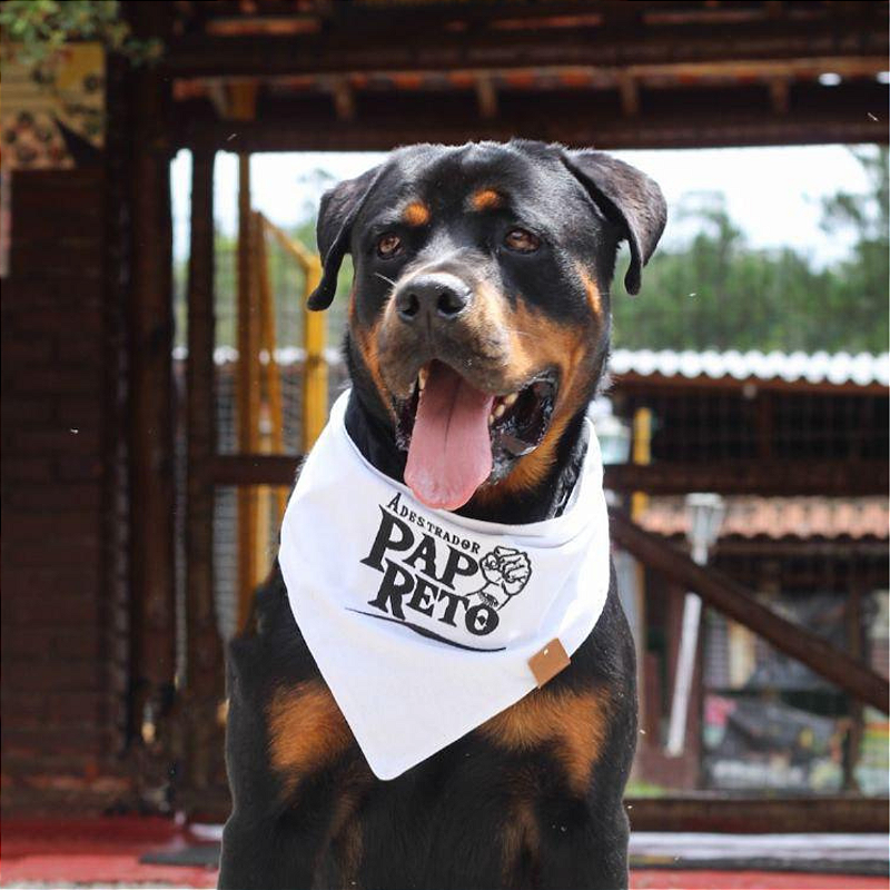 Bandanas Pet premium com logo em Atacado - várias cores