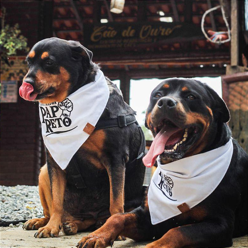 Bandanas Pet simples com logo DTF/Estampa em Atacado - várias cores