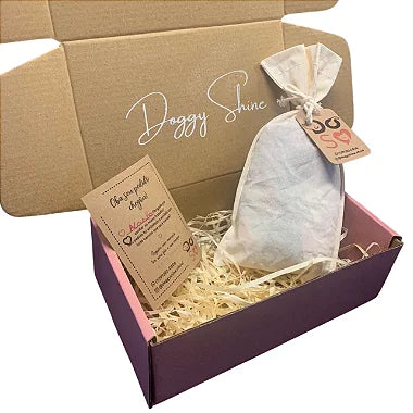 Box assinatura com uma Gravata Pet Surpresa