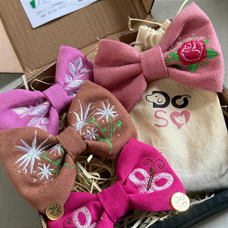 Box Assinatura mensal 4 lacinhos/gravatas personalizadas surpresa para pet