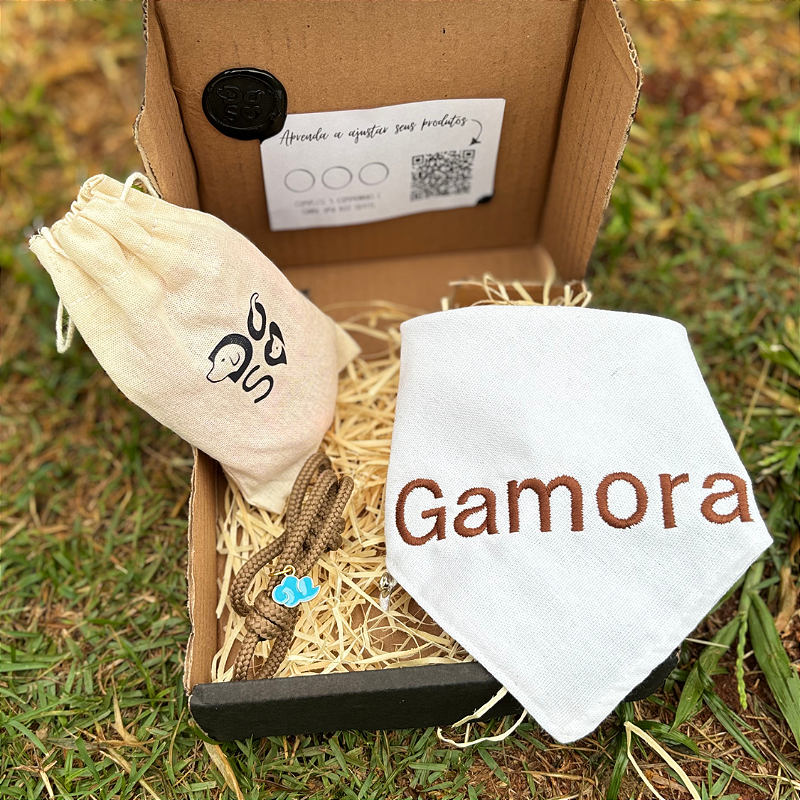 Box Assinatura mensal bandana, bordado e colar surpresa para pet