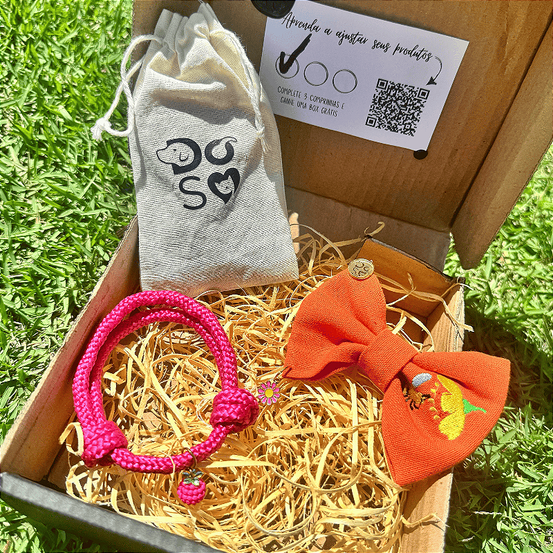 Box Assinatura mensal com Colar e Lacinho/Gravata personalizada surpresa para pet