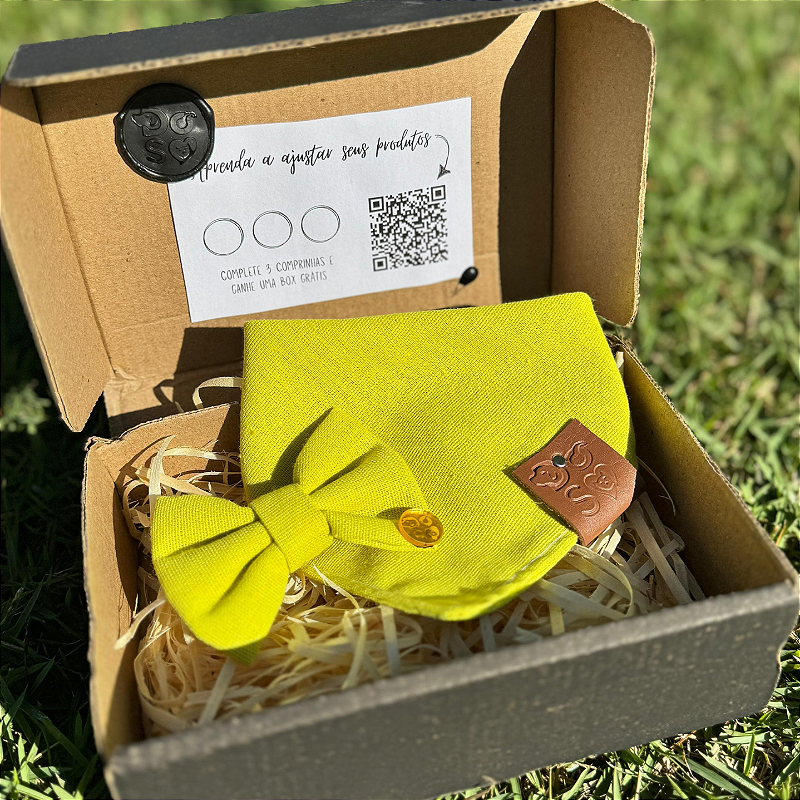 Box Assinatura mensal com lacinho/gravata e bandana surpresa para pet