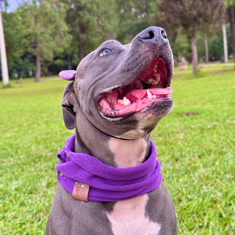 Cachecol Pet Roxo