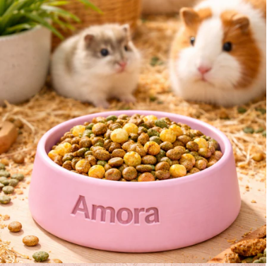 Comedouro para pet personalizado com nome