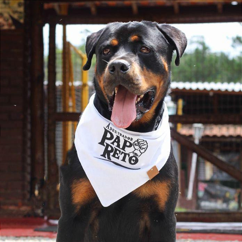 Escolha a bandana com sua logo para pet