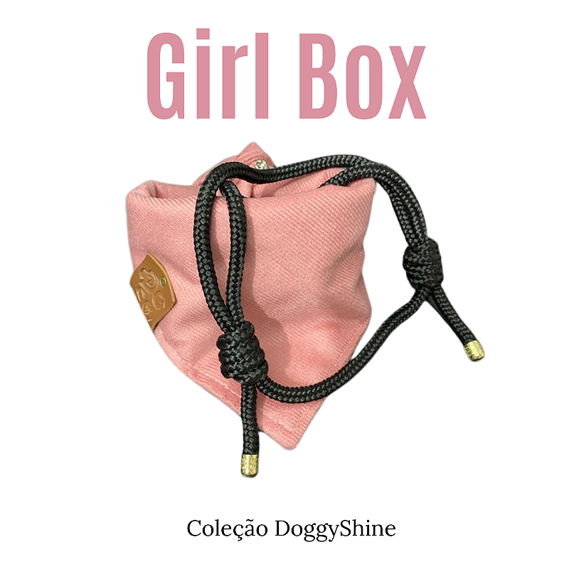 Lacinho para pet: Girl Box