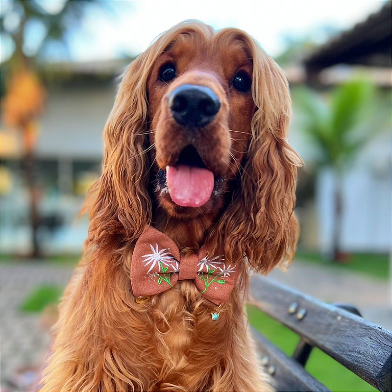 Gravata Pet ajustável Personalizada - várias Cores e personalizações