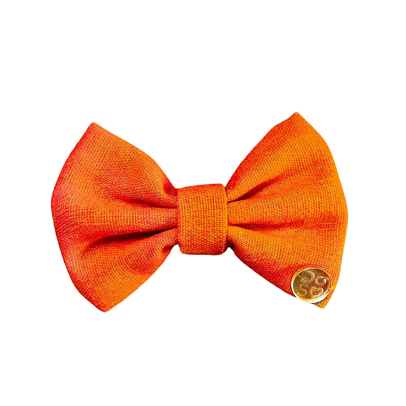 Gravata Pet Laranja
