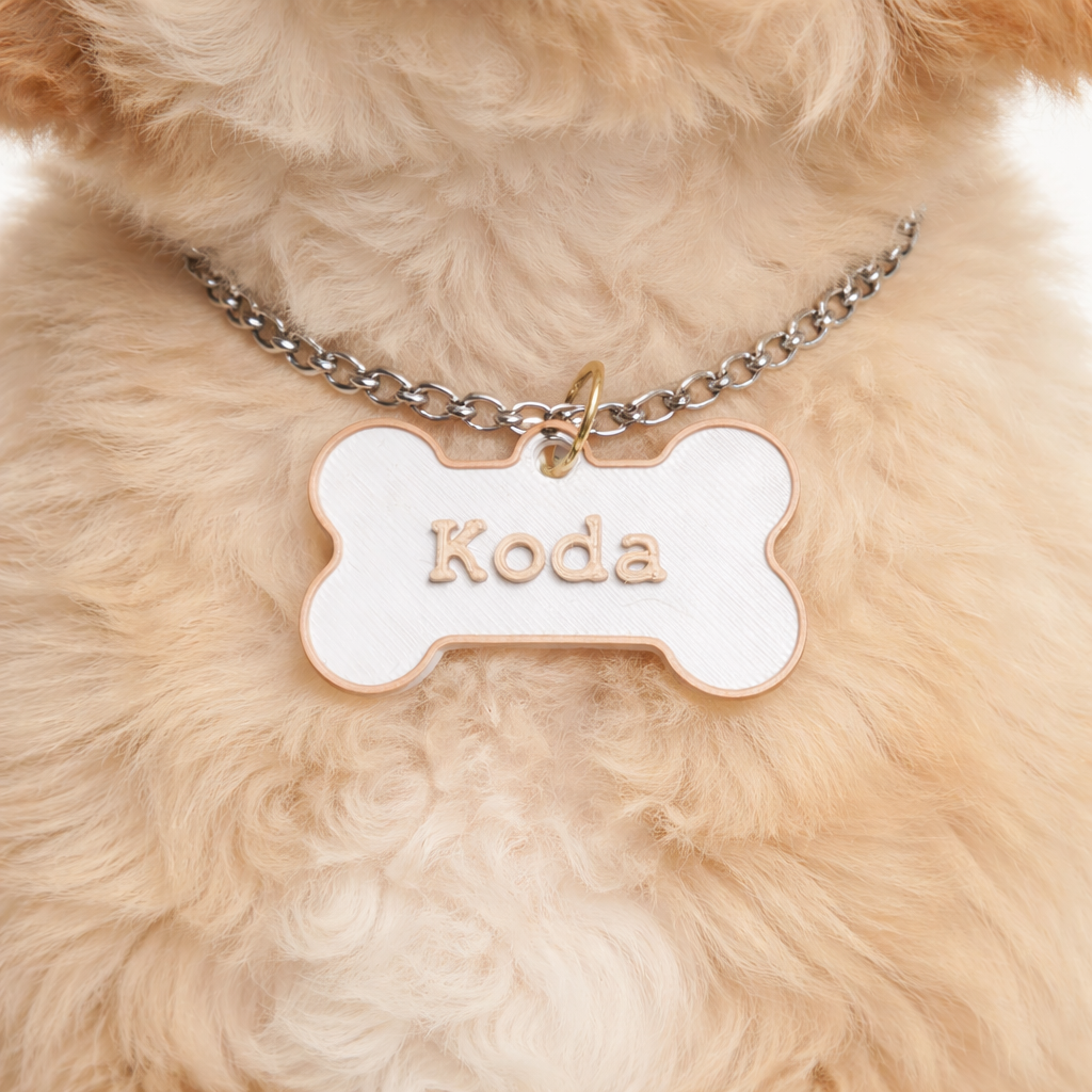 Placa de identificação pet com nome e telefone