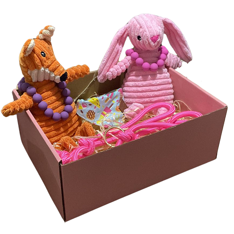 Super Box Assinatura com produtos Surpresa