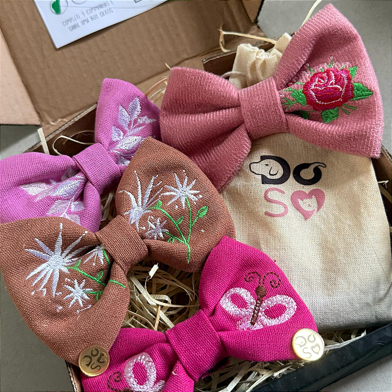Super Shinebox 4 lacinhos personalizados para pet