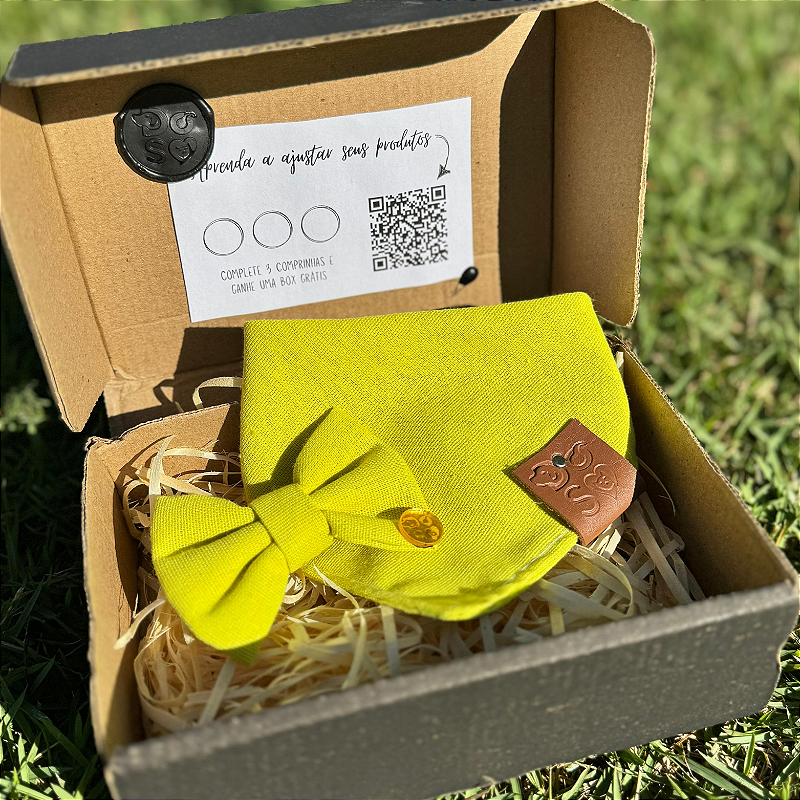 Super ShineBox pet com bandana e lacinho verde-limão