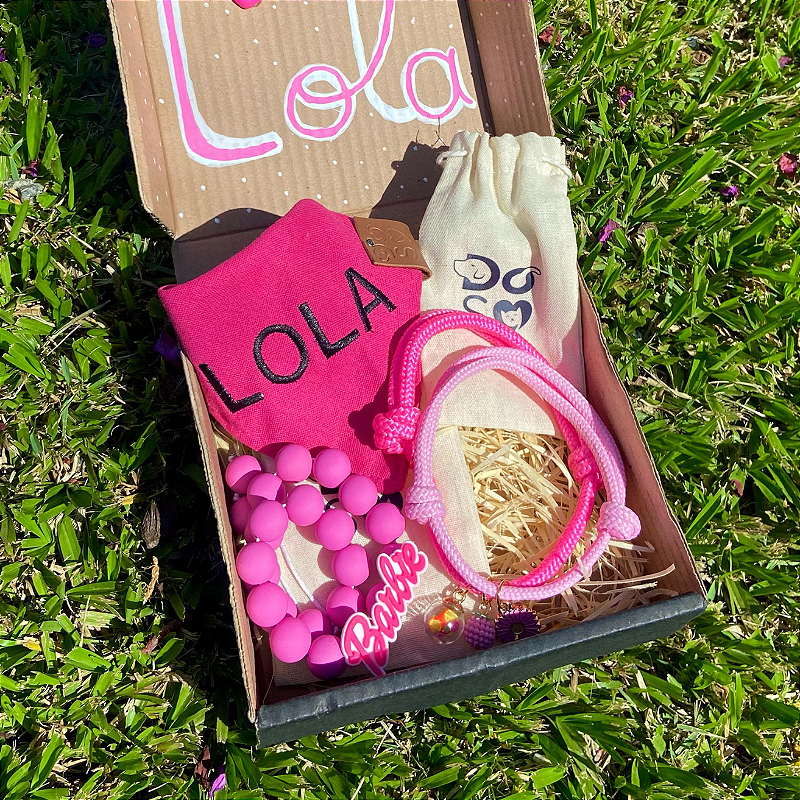 Super ShineBox pet com bandana rosa e 3 colares personalizados