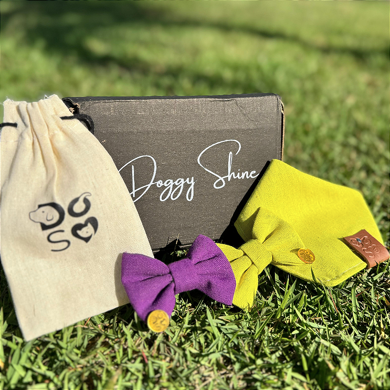 Super Shinebox bandana Verde limão, lacinho verde limão e lilas para pet