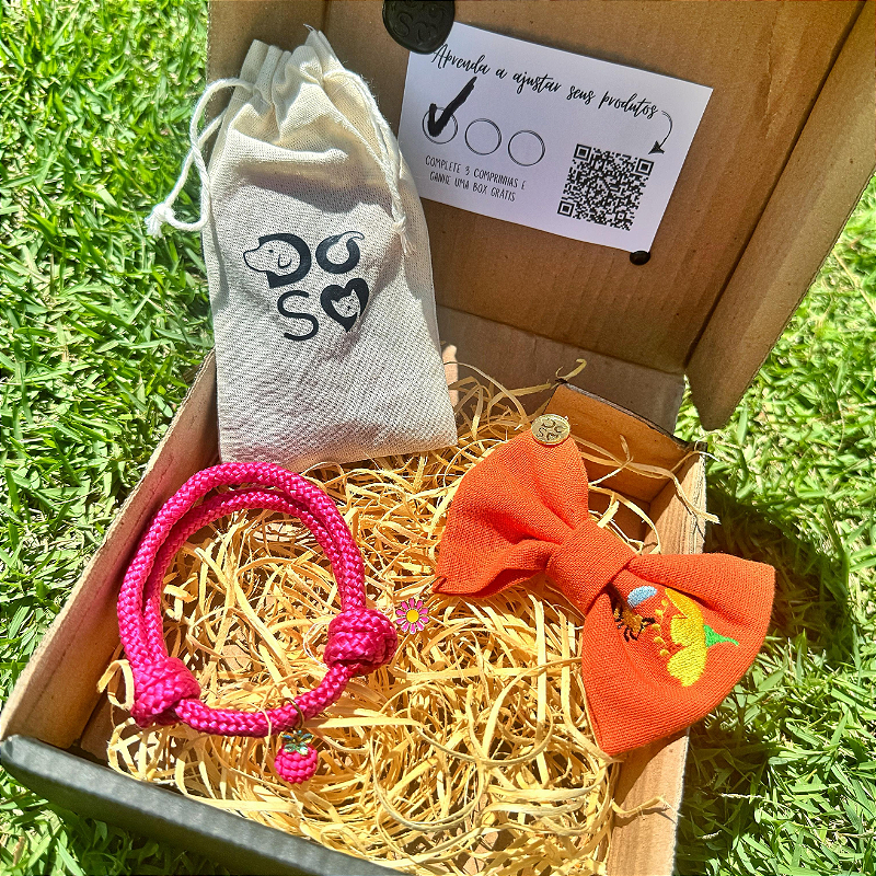 Super Shinebox Colar rosa, lacinho de abelha e berloques surpresa para pet