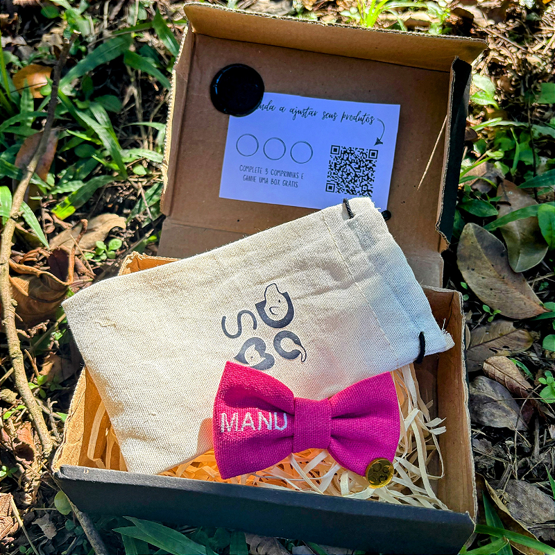 Super Shinebox Lacinho com nome bordado + brinde para pet